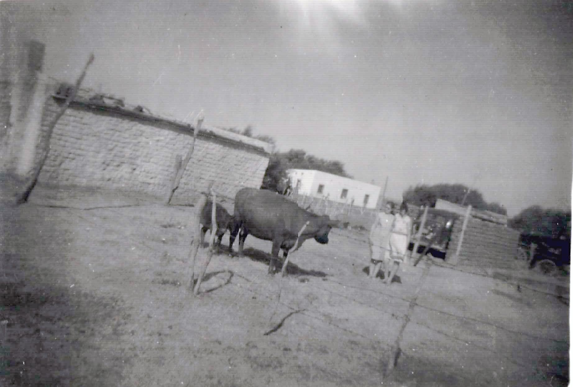 2300 5-Grupo de casas de Villa Sauri, años 50, gentileza Flia Martin-min