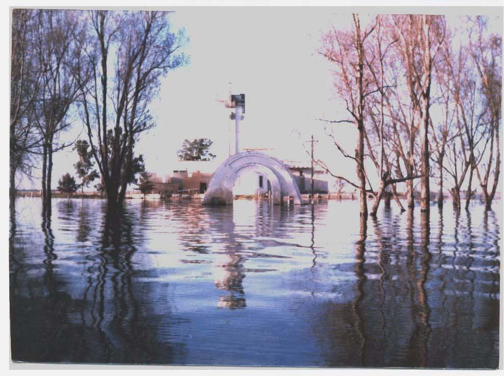 BLOG 3-matadero 1986 copy
