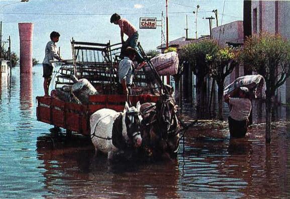 Imagen de la sección del museo: undefined