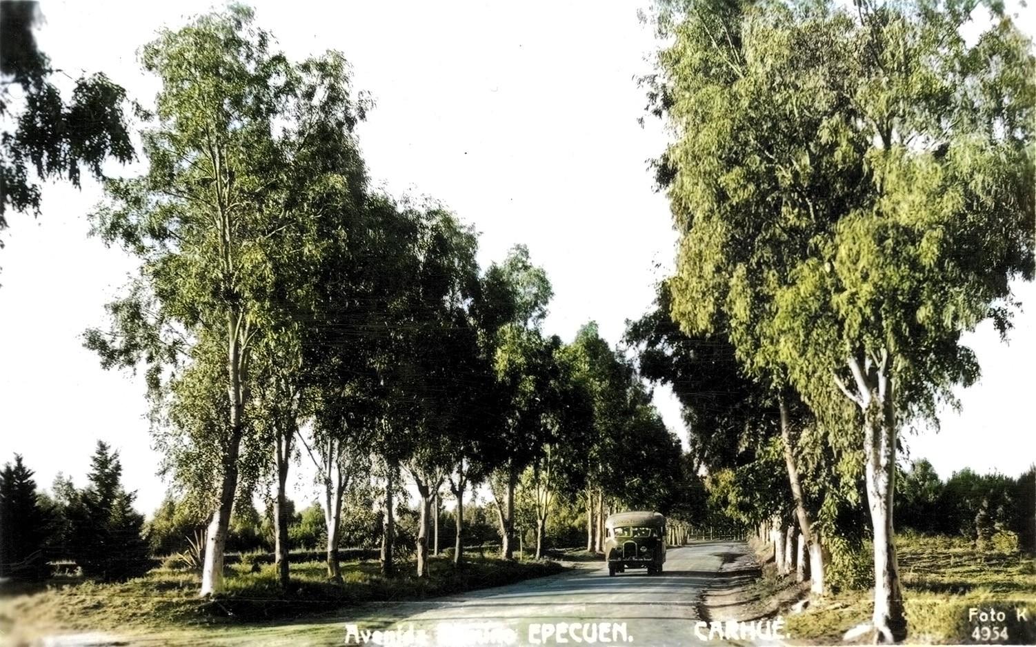 Camino costero a Epecuén Años 50 Coloreada