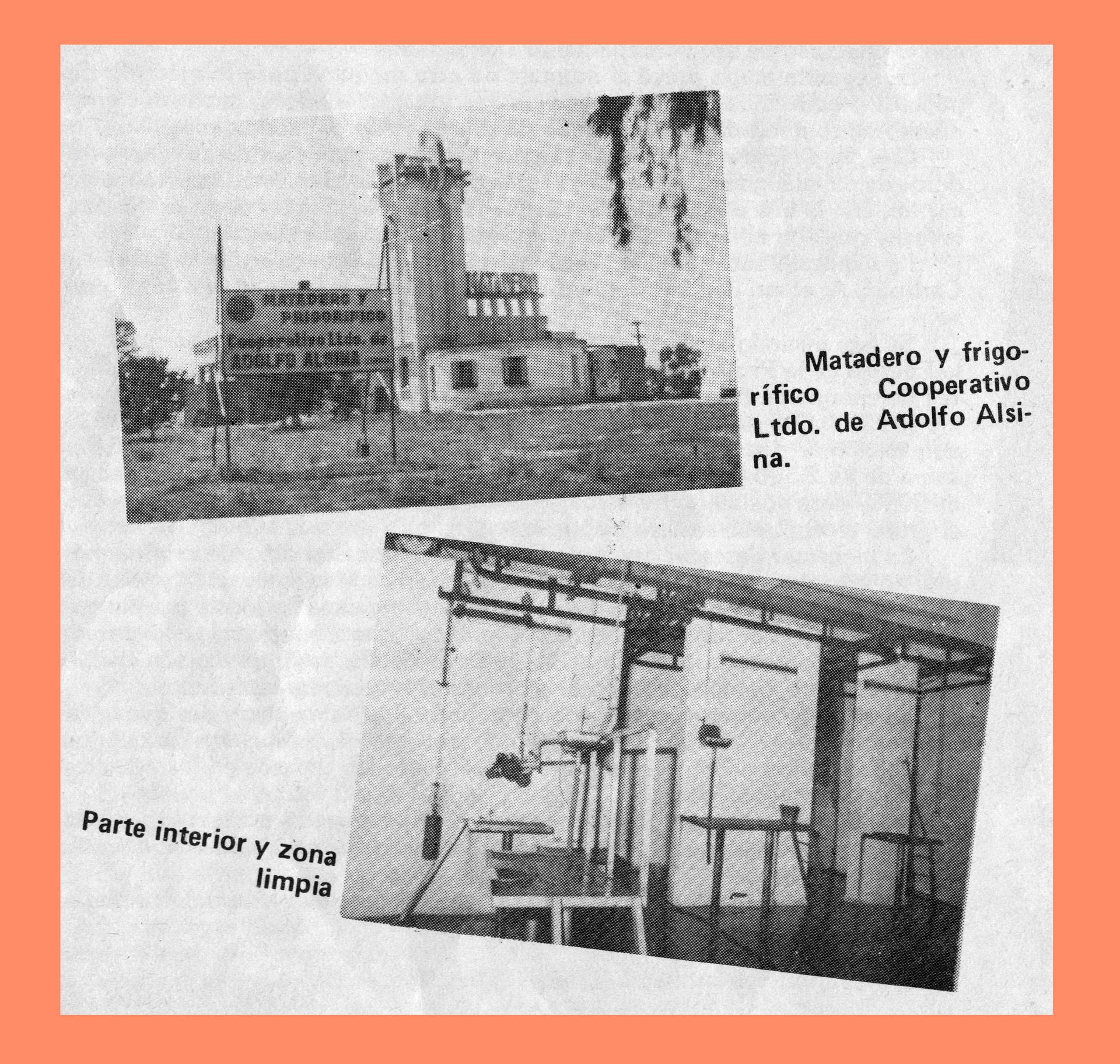 BLOG 1-D-248 Matadero Cooperativo 1981